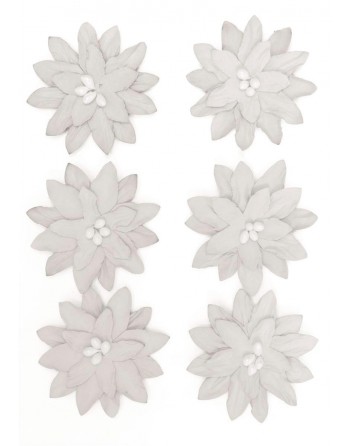 Ozdoby kwiaty samoprzylepne DALIA białe 6 szt Galeria Papieru 252011