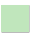 Papier Kolorowy EMERSON Green (zielony) A4, 80g.
