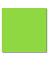 Papier Kolorowy EMERSON Deep Green (ciemno zielony) A4, 80g.